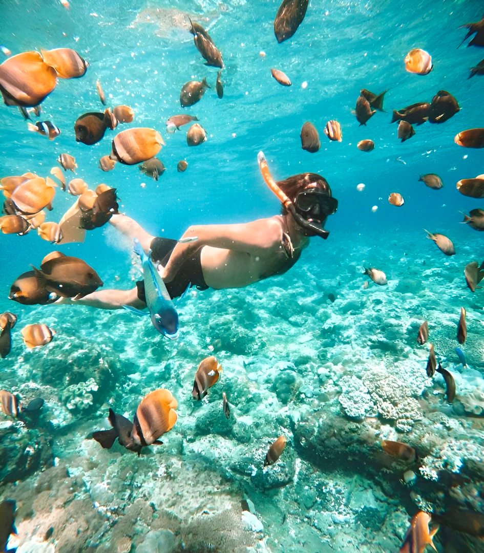 PADANG BAI SNORKELING + LUNCH