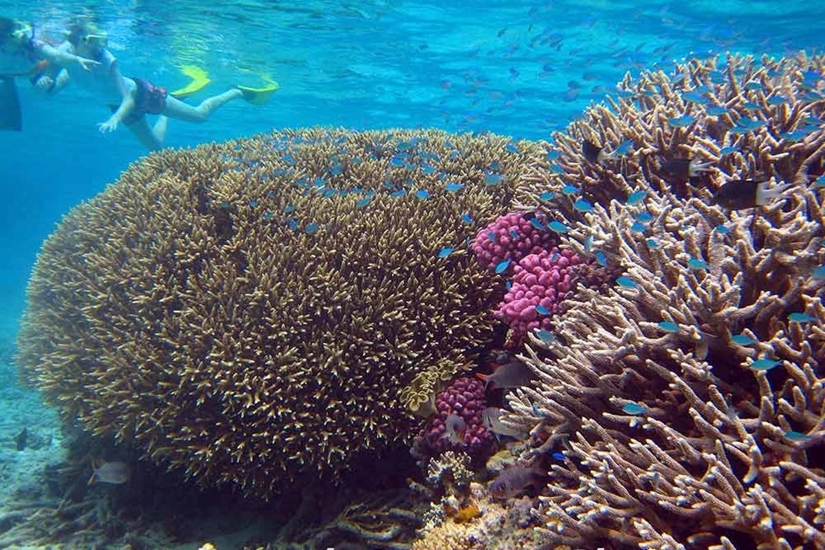 EXPLORE GILI ASAHAN SEKOOTONG + SNORKELING