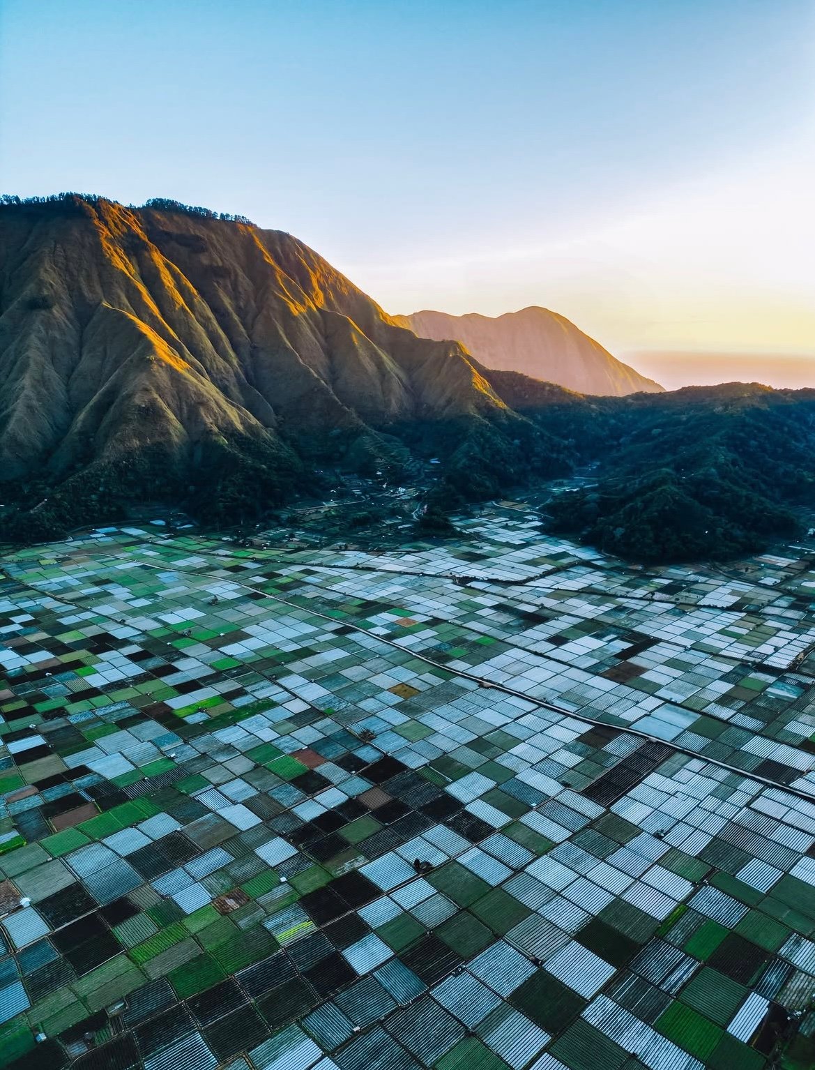 Gallery Thumbnail 10