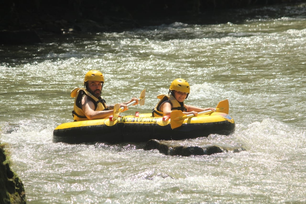 Gallery Thumbnail 12